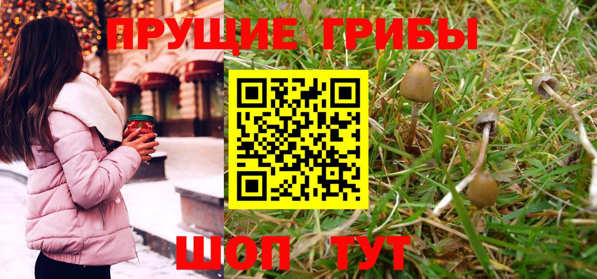 Галлюциногенные грибы Magic Shrooms  Вход с VPN  Унеча 