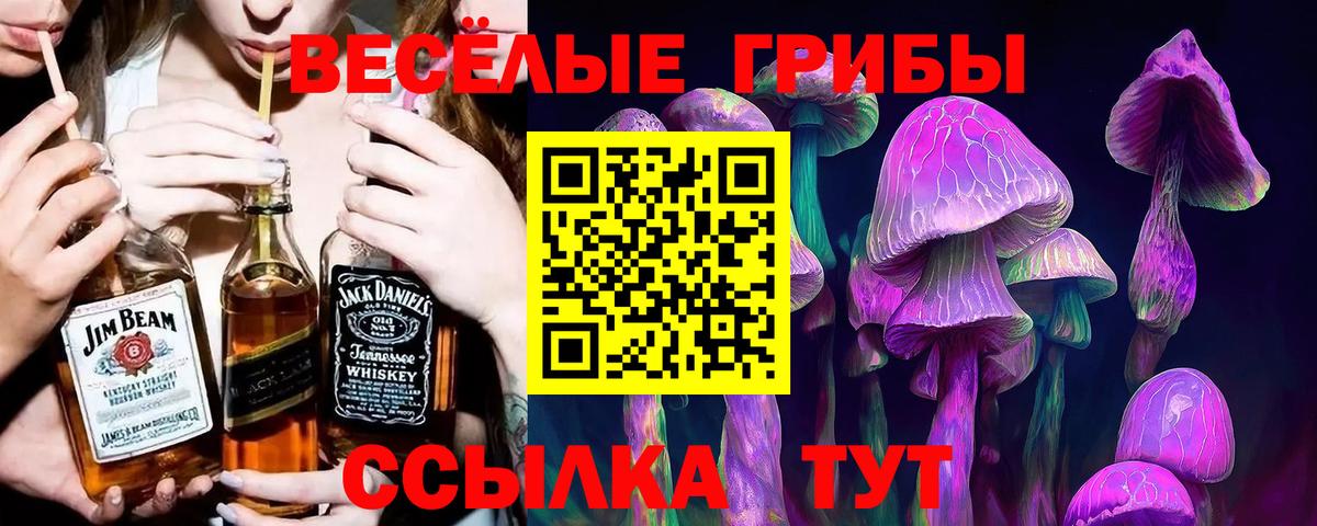 Галлюциногенные грибы Magic Shrooms Унеча